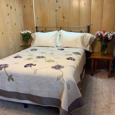 The Woods Hotel - Gay Lgbtq Cabins Герневилл Экстерьер фото